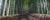 The Benefits Of Bamboo Clothing For You And The Environment